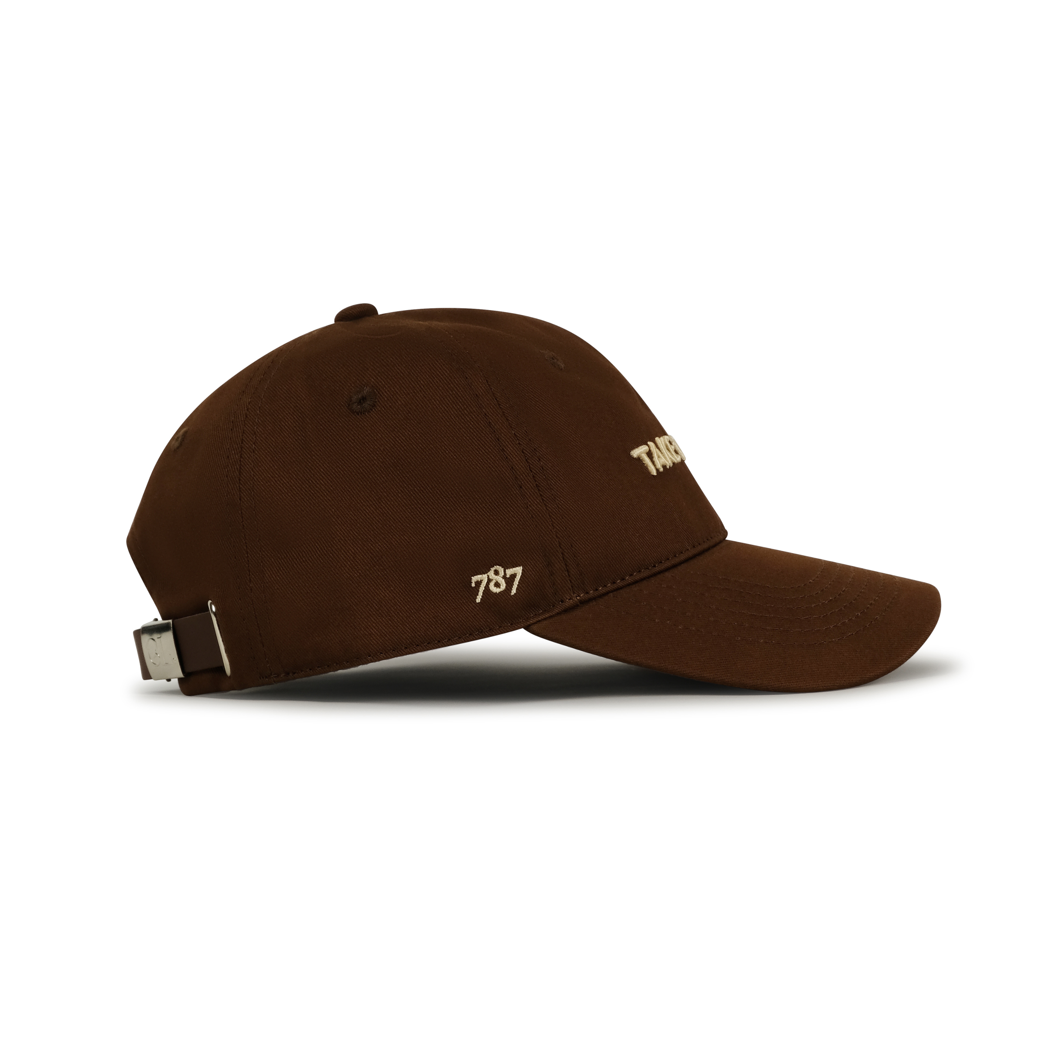 Take The Risk Dad Hat - Brown
