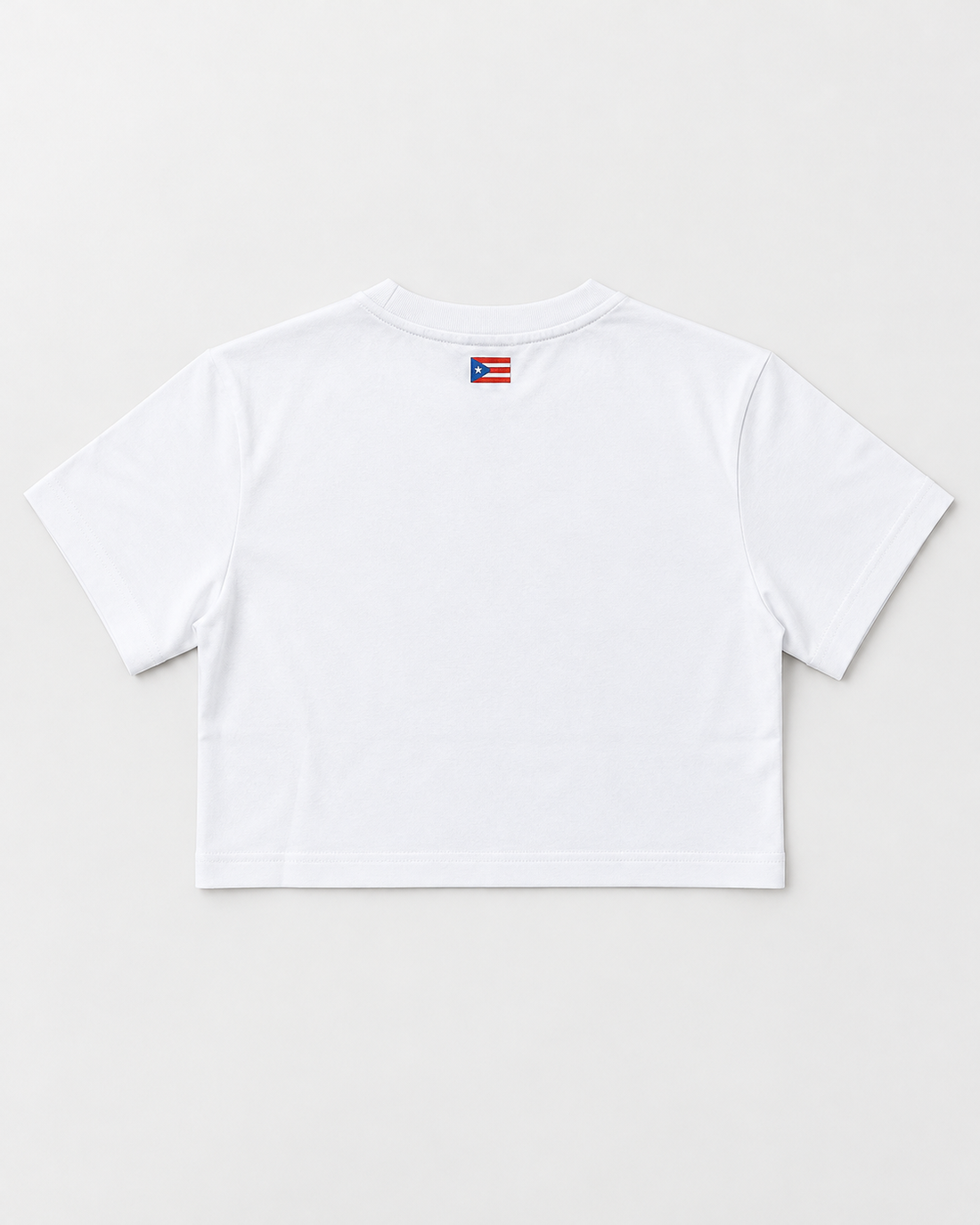 Galuarte White PR Flag Women Crop Top